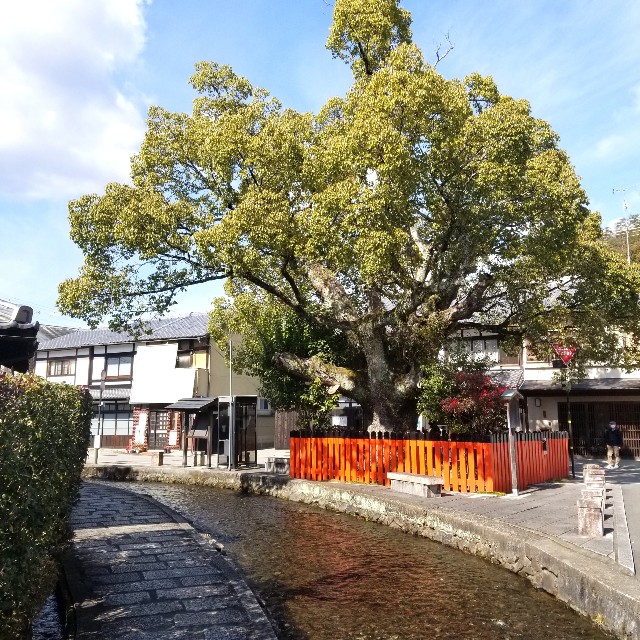 f:id:atoriatoriatori:20220226181129j:image