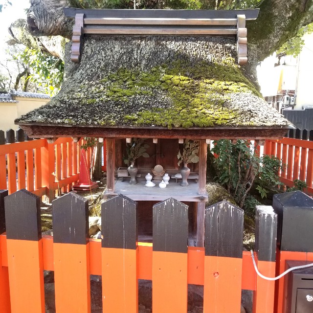 f:id:atoriatoriatori:20220226181136j:image