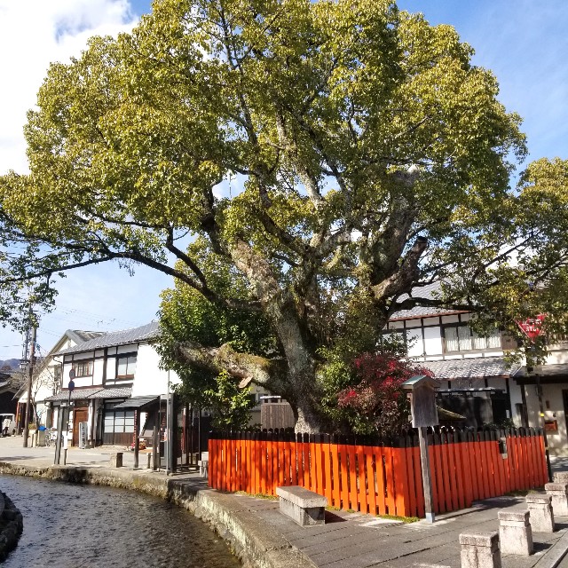 f:id:atoriatoriatori:20220226181251j:image