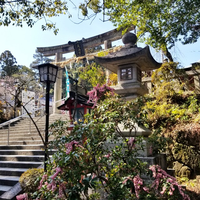 f:id:atoriatoriatori:20220311085254j:image