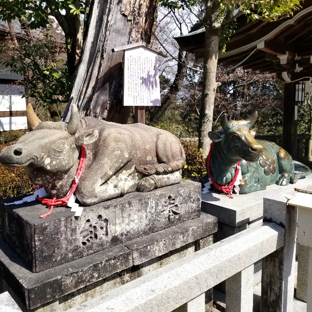 f:id:atoriatoriatori:20220311085338j:image