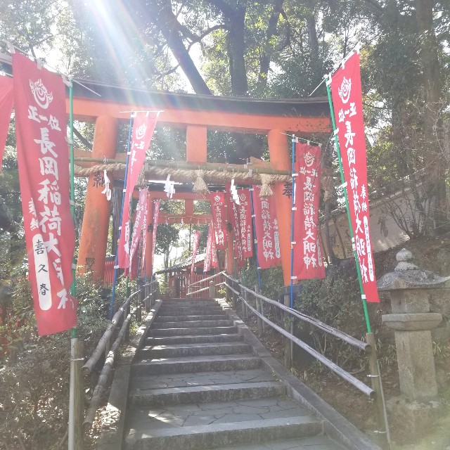 f:id:atoriatoriatori:20220311085707j:image