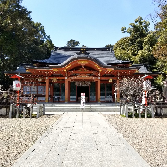 f:id:atoriatoriatori:20220311090416j:image