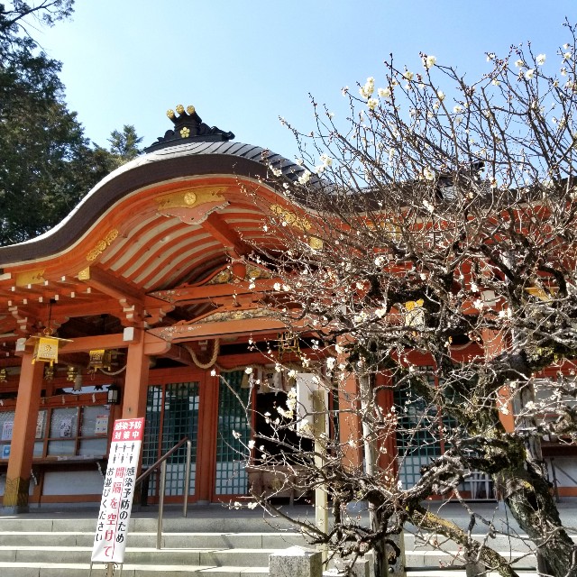 f:id:atoriatoriatori:20220311090438j:image