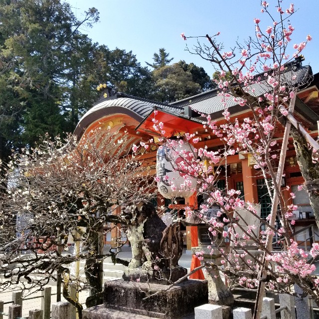 f:id:atoriatoriatori:20220311090447j:image