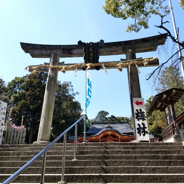 f:id:atoriatoriatori:20220311090859j:image