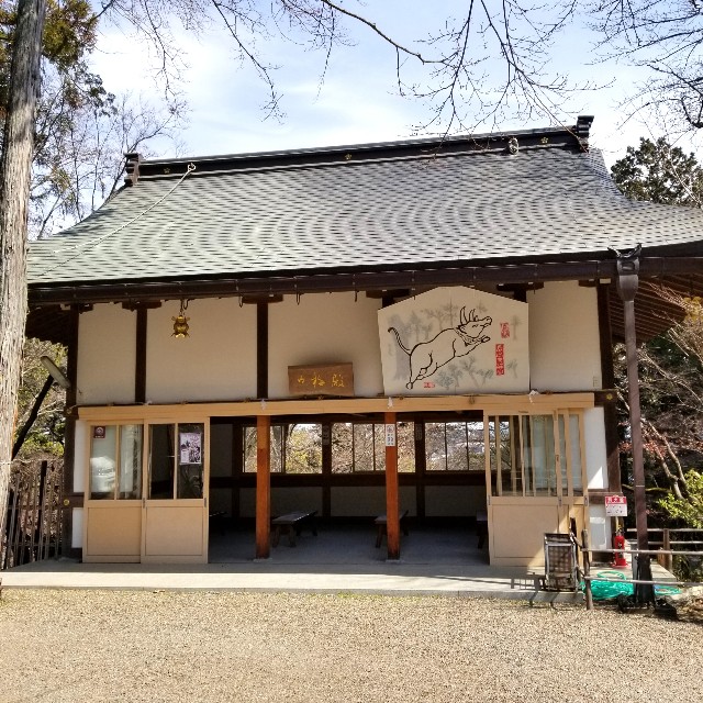 f:id:atoriatoriatori:20220311090940j:image