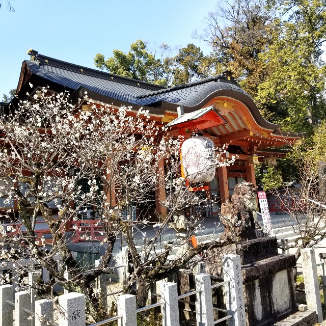 f:id:atoriatoriatori:20220311092003j:image