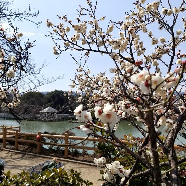 f:id:atoriatoriatori:20220311104355j:image