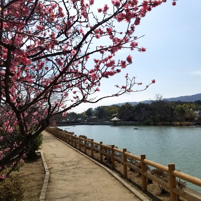 f:id:atoriatoriatori:20220311104406j:image