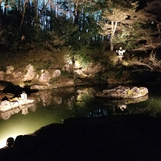 f:id:atoriatoriatori:20220316101524j:image