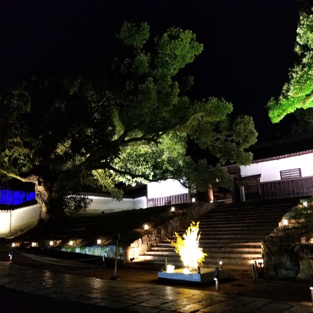 f:id:atoriatoriatori:20220316181946j:image