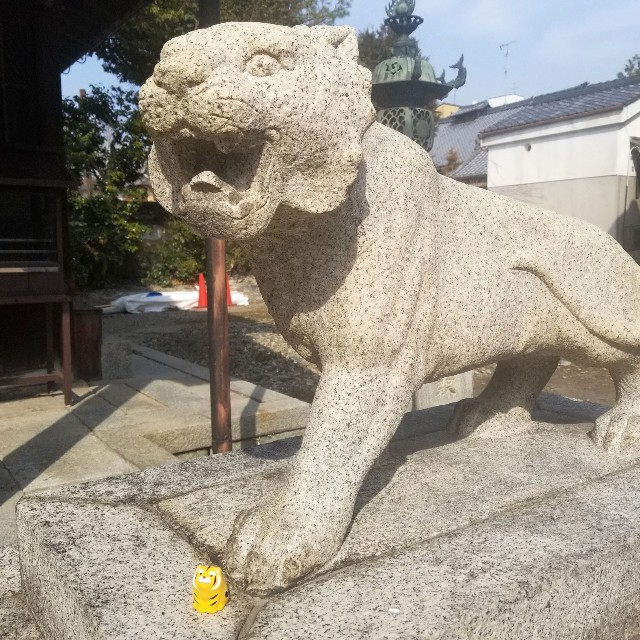 f:id:atoriatoriatori:20220318092050j:image