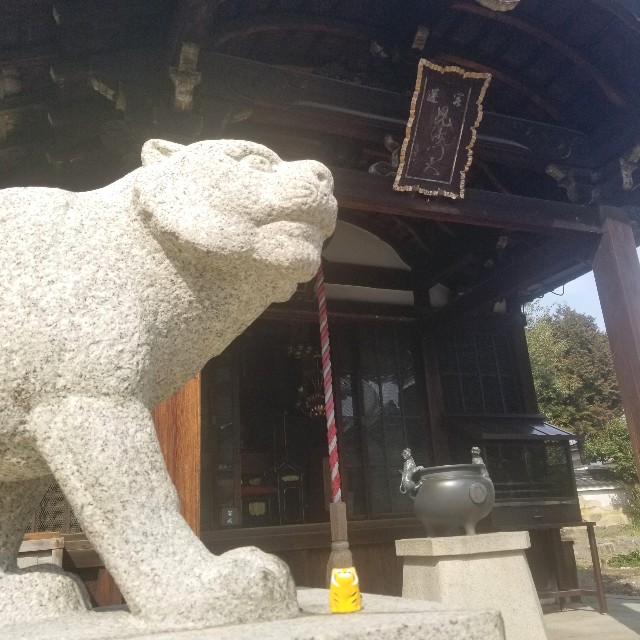 f:id:atoriatoriatori:20220318101710j:image