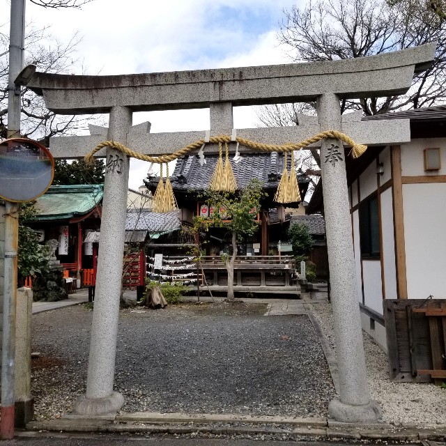 f:id:atoriatoriatori:20220322084717j:image