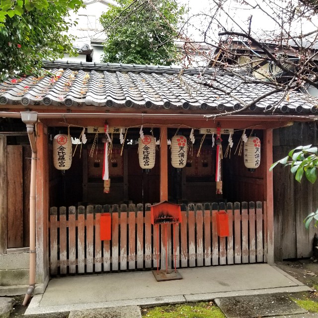 f:id:atoriatoriatori:20220322084835j:image