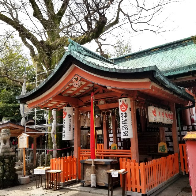 f:id:atoriatoriatori:20220322090027j:image