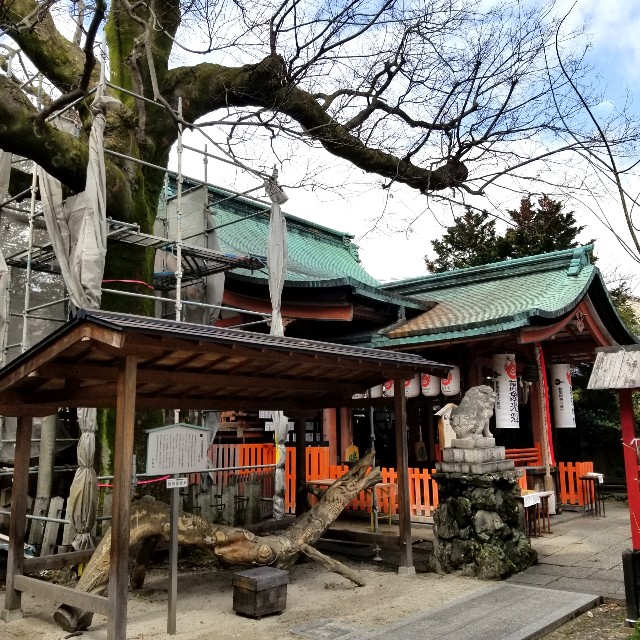 f:id:atoriatoriatori:20220322090829j:image
