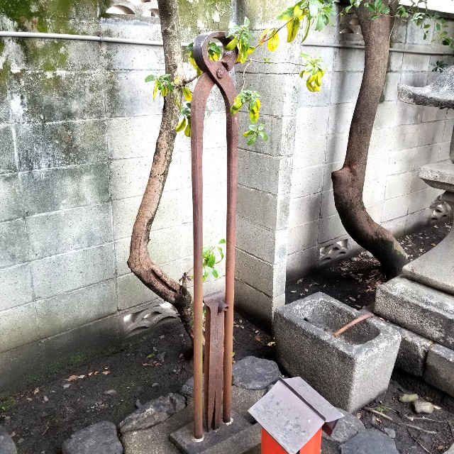 f:id:atoriatoriatori:20220322092701j:image