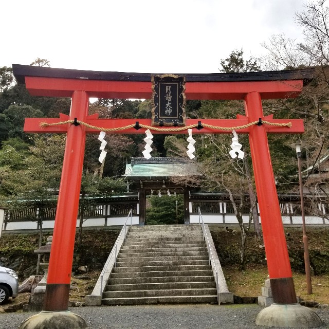 f:id:atoriatoriatori:20220324155219j:image