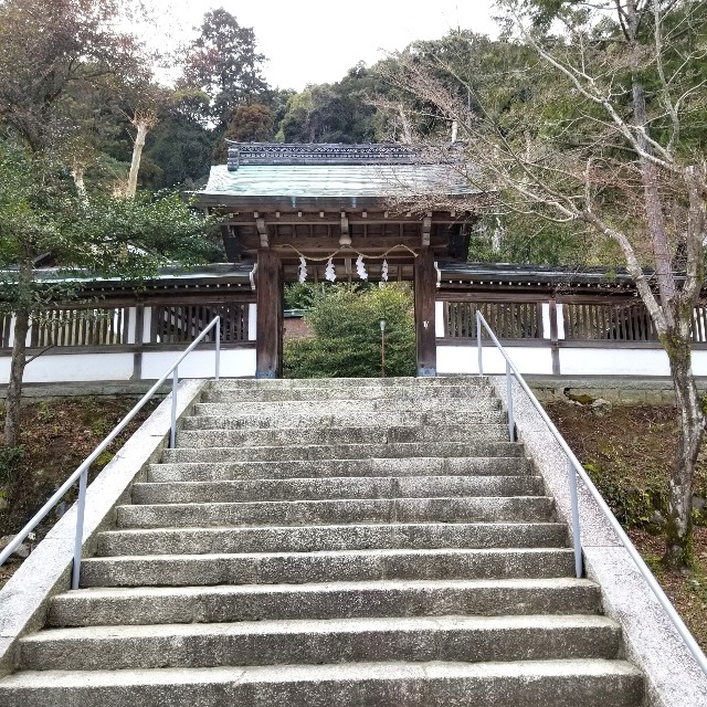 f:id:atoriatoriatori:20220324155226j:image
