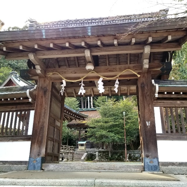 f:id:atoriatoriatori:20220324163413j:image