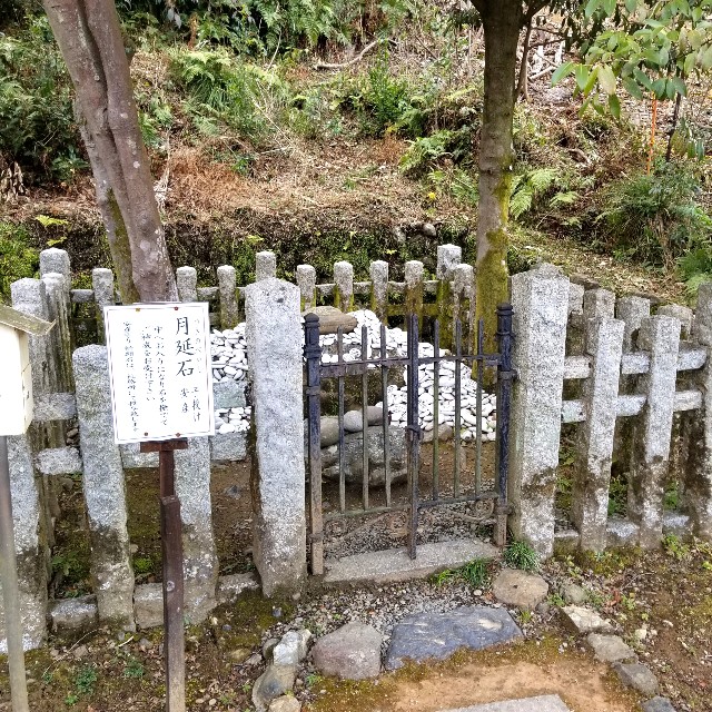 f:id:atoriatoriatori:20220324163632j:image