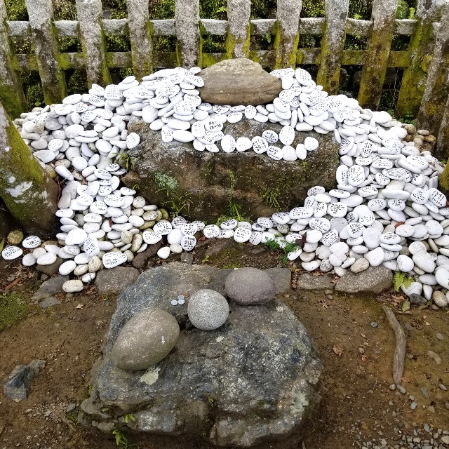 f:id:atoriatoriatori:20220324163639j:image