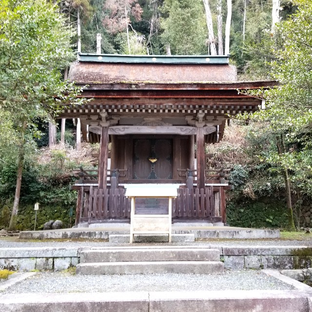 f:id:atoriatoriatori:20220324164515j:image