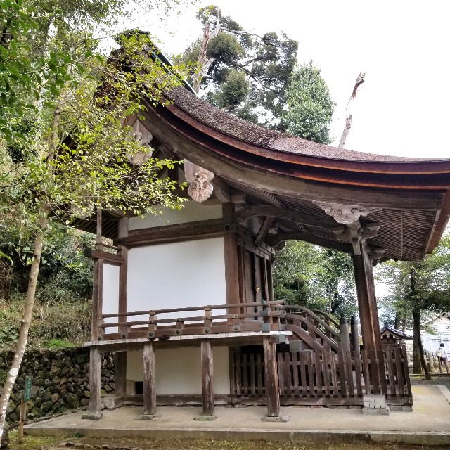 f:id:atoriatoriatori:20220324165844j:image