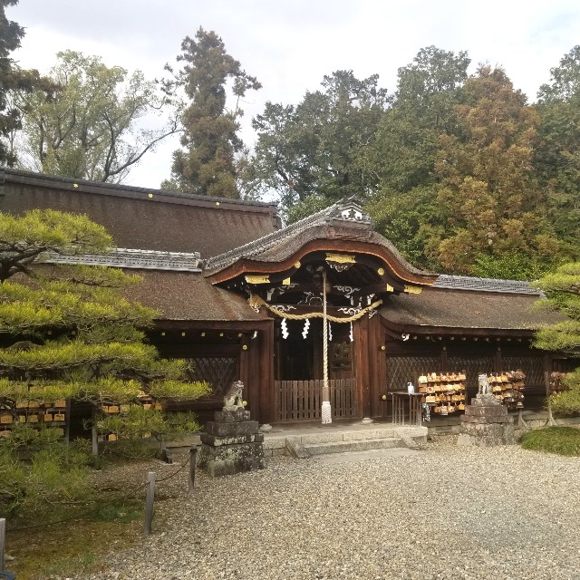 f:id:atoriatoriatori:20220328130608j:image