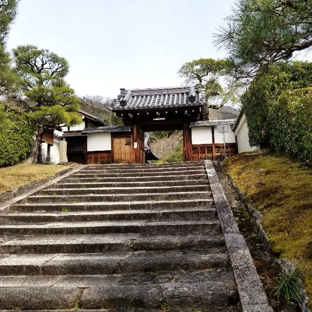 f:id:atoriatoriatori:20220329153222j:image