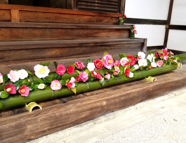 f:id:atoriatoriatori:20220329164725j:image