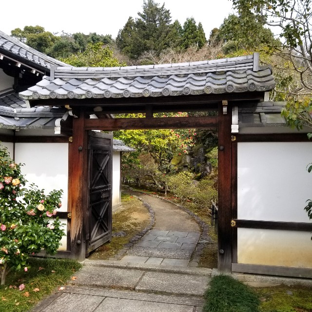 f:id:atoriatoriatori:20220329165435j:image