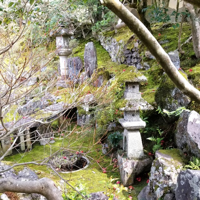 f:id:atoriatoriatori:20220329180042j:image