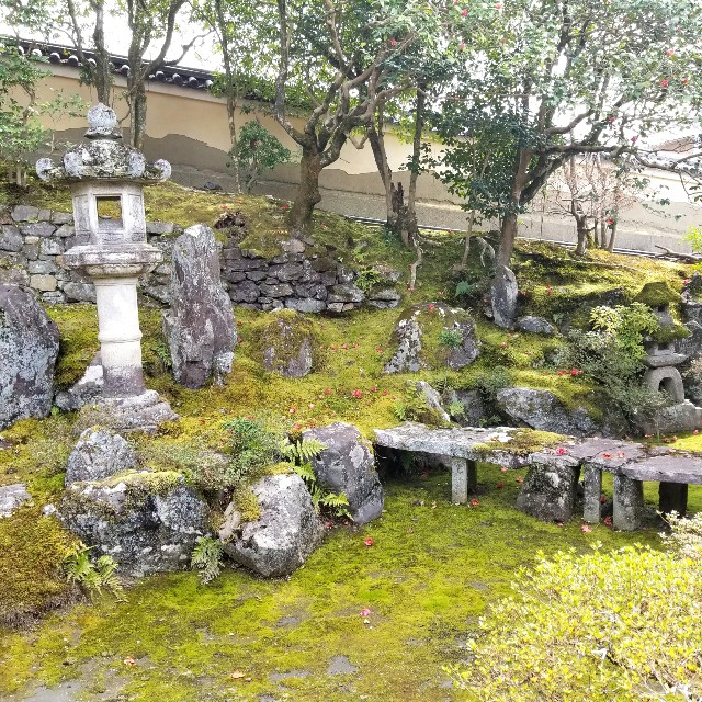 f:id:atoriatoriatori:20220329180306j:image