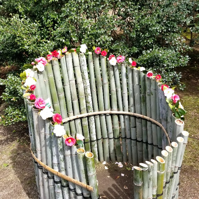 f:id:atoriatoriatori:20220329181541j:image