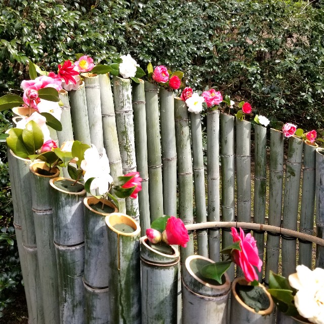 f:id:atoriatoriatori:20220329181548j:image