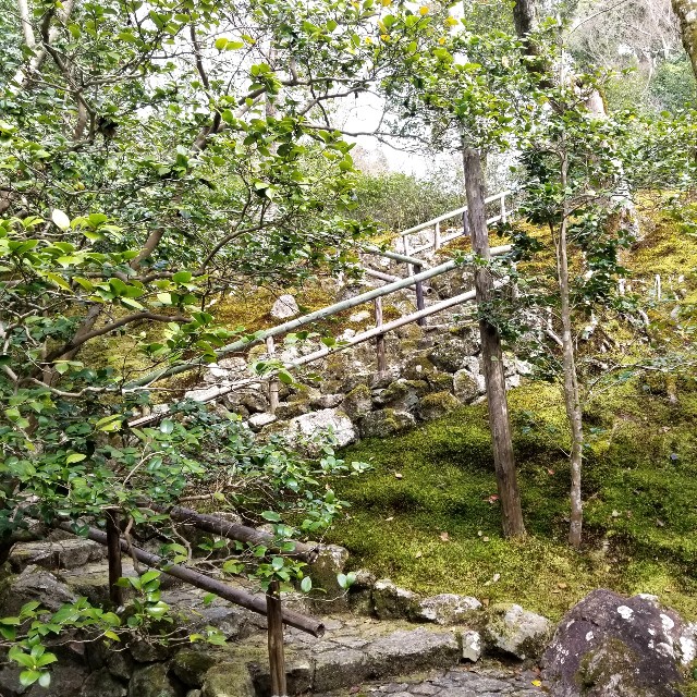 f:id:atoriatoriatori:20220329193503j:image