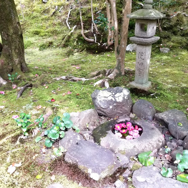 f:id:atoriatoriatori:20220329193942j:image