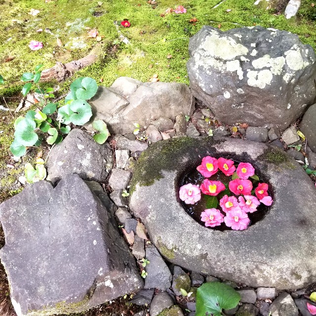 f:id:atoriatoriatori:20220329193949j:image