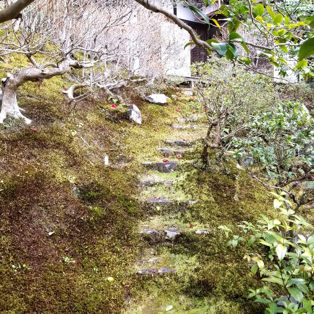 f:id:atoriatoriatori:20220329193956j:image