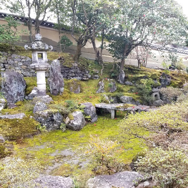 f:id:atoriatoriatori:20220329202013j:image