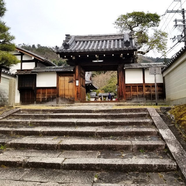 f:id:atoriatoriatori:20220329202027j:image