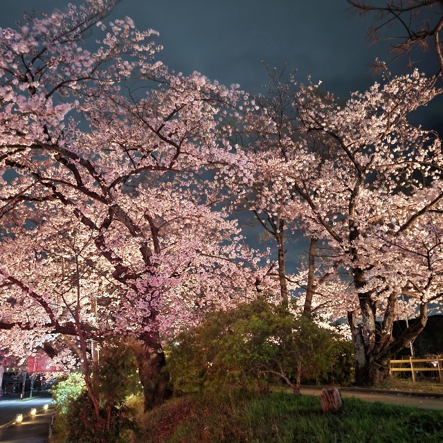 f:id:atoriatoriatori:20220331214315j:image f:id:atoriatoriatori:20220331214315j:image