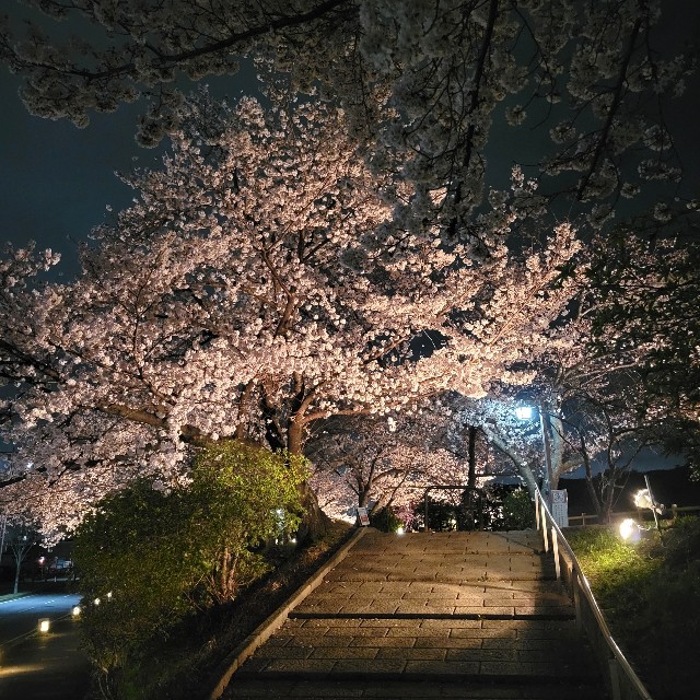 f:id:atoriatoriatori:20220331214323j:image f:id:atoriatoriatori:20220331214323j:image