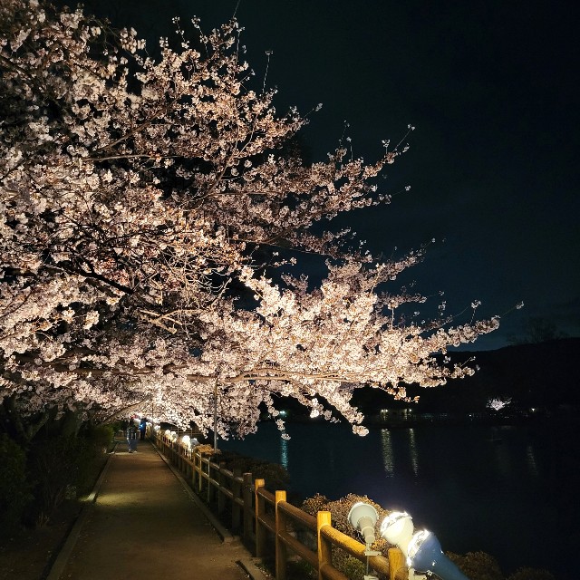 f:id:atoriatoriatori:20220331214757j:image f:id:atoriatoriatori:20220331214757j:image