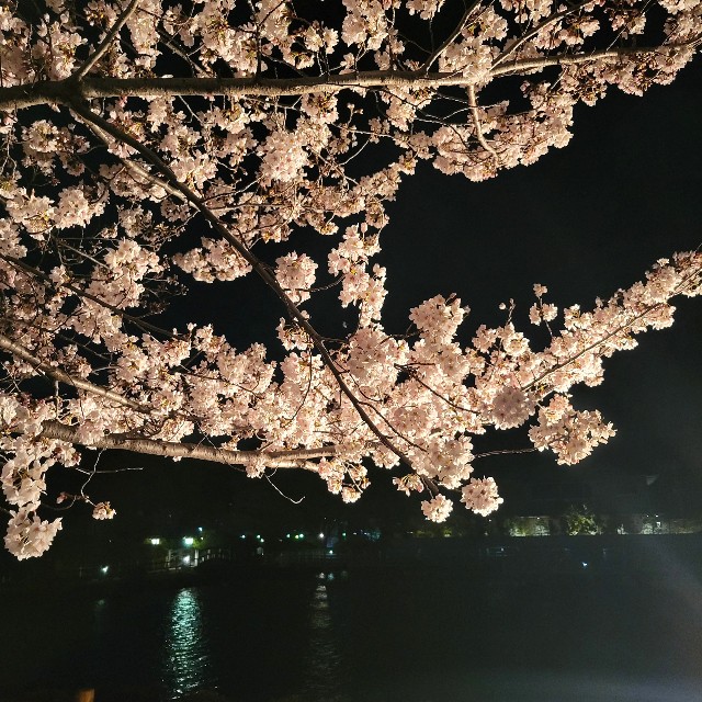 f:id:atoriatoriatori:20220331224549j:image f:id:atoriatoriatori:20220331224549j:image