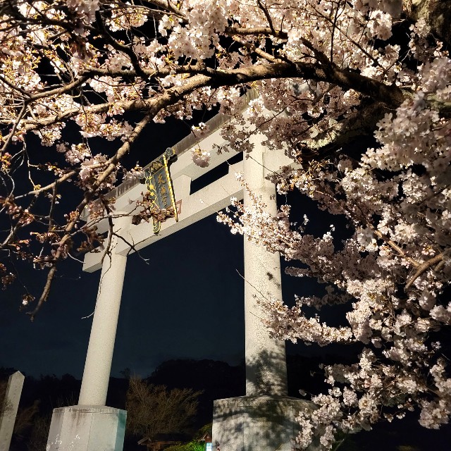 f:id:atoriatoriatori:20220331224558j:image f:id:atoriatoriatori:20220331224558j:image