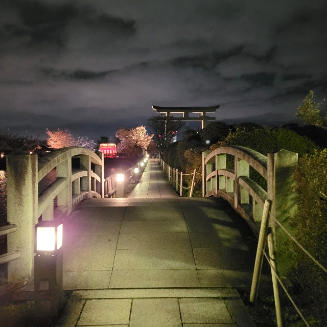 f:id:atoriatoriatori:20220401081342j:image f:id:atoriatoriatori:20220401081342j:image